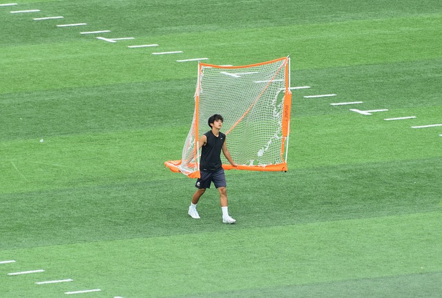 不仅增强了